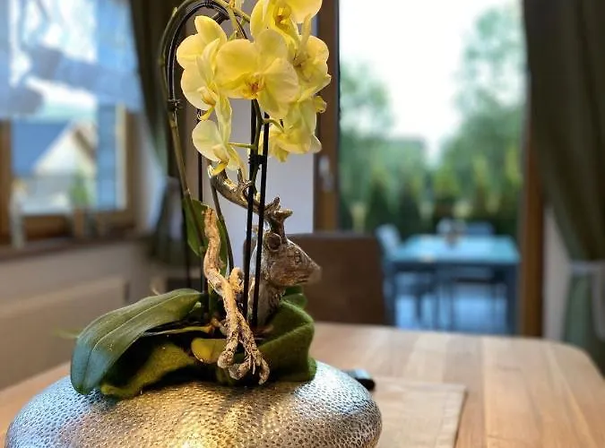 Auszeit シャレー